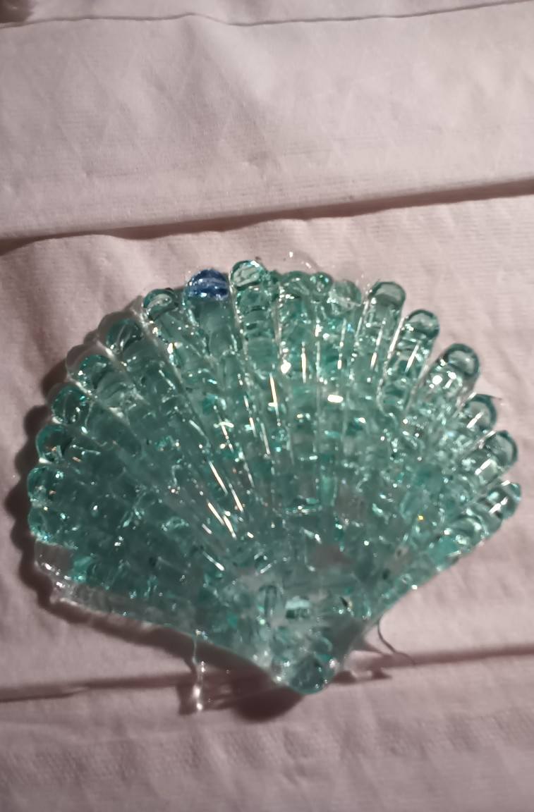 seashell