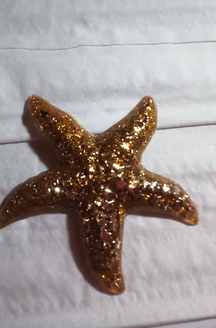starfish