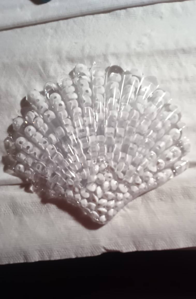seashell