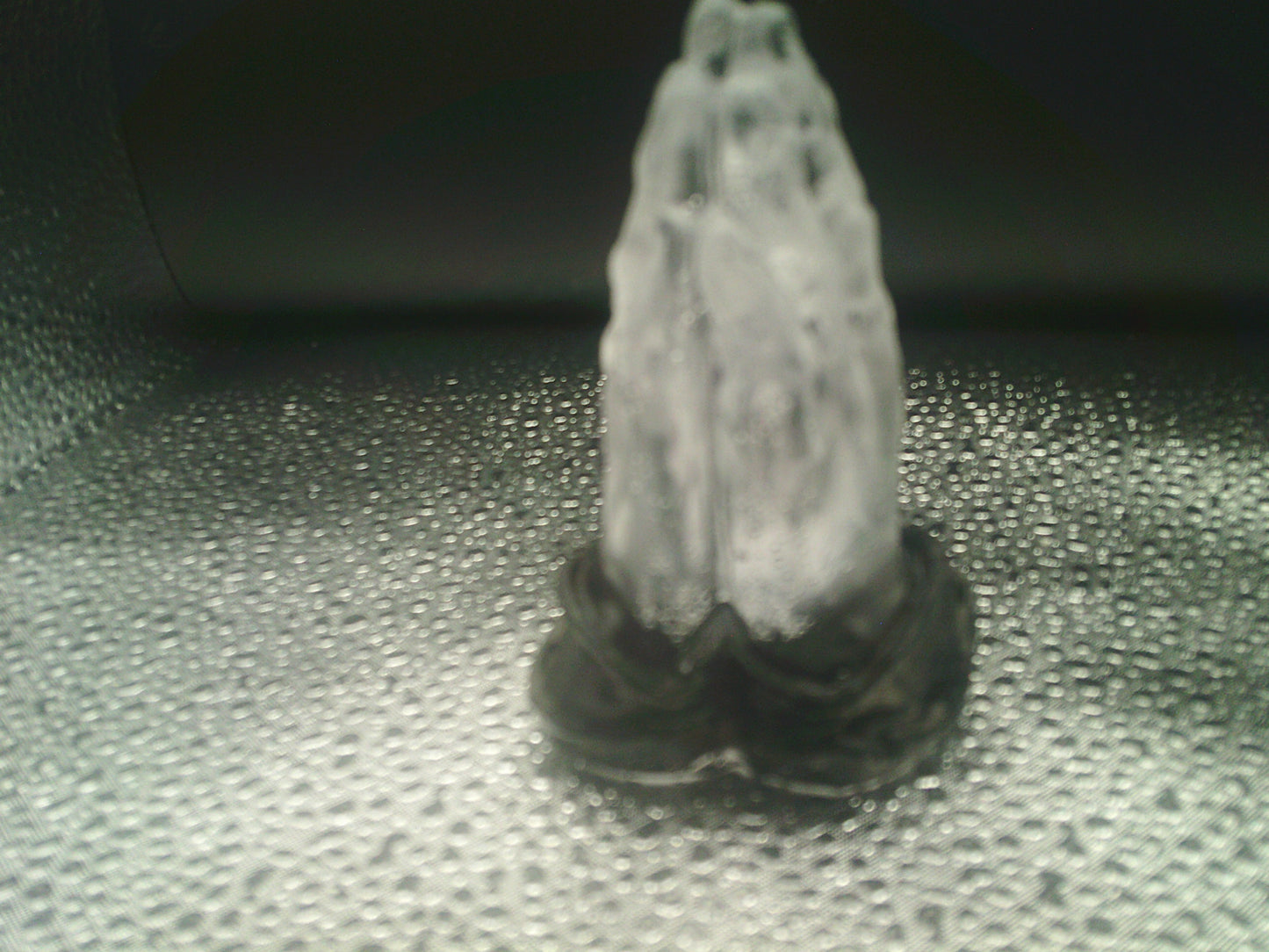 Praying Hands