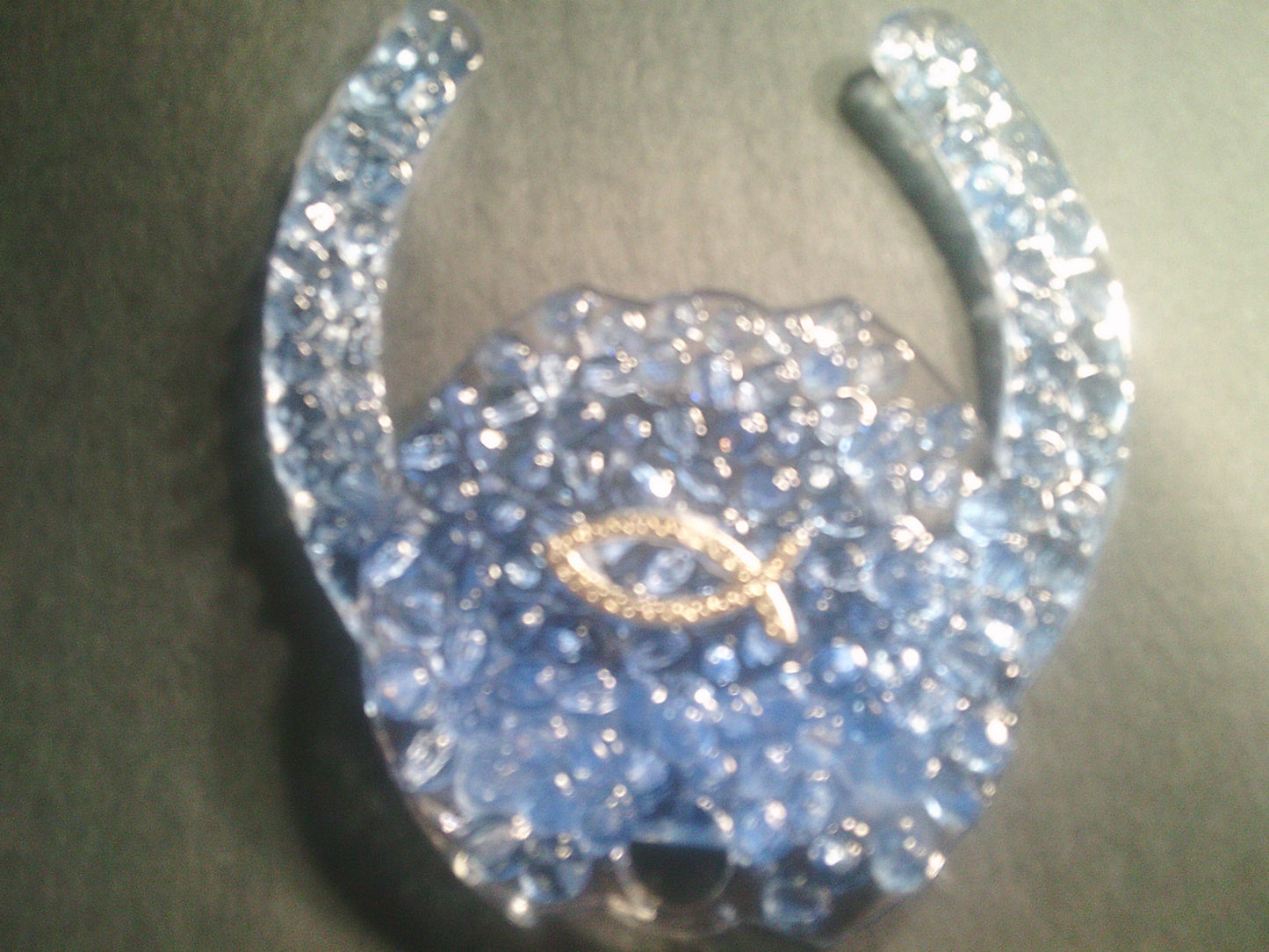 Resin Horseshoe with decorative front