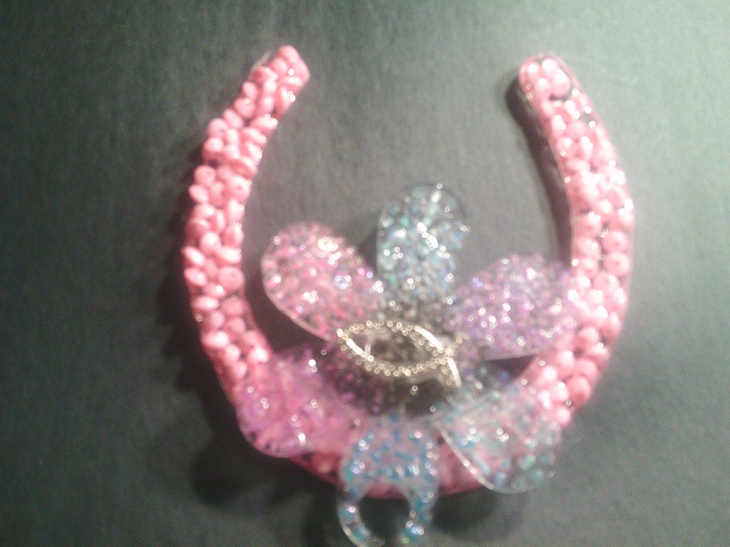 Resin Horseshoe with decorative front