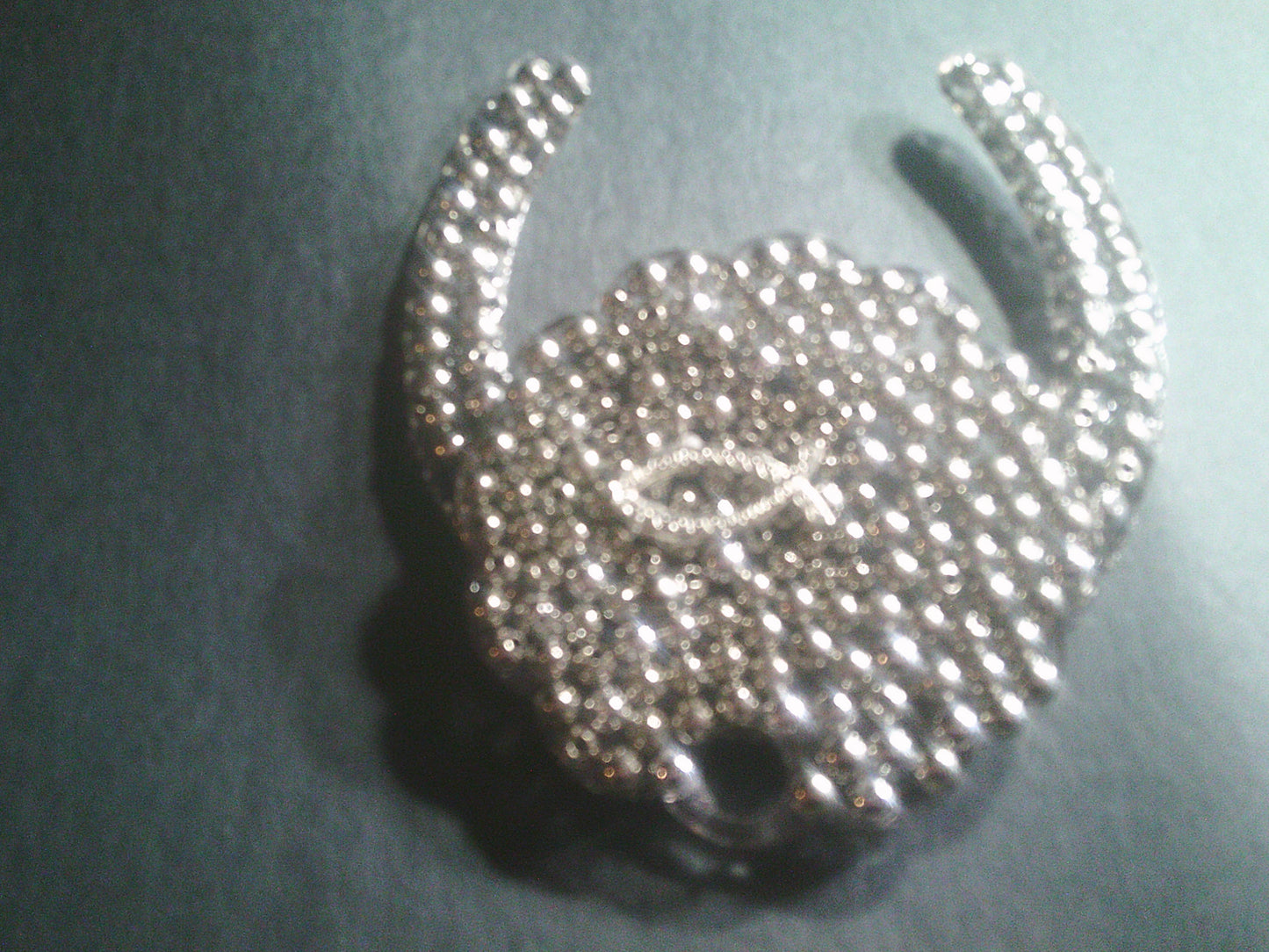 Resin Horseshoe with decorative front