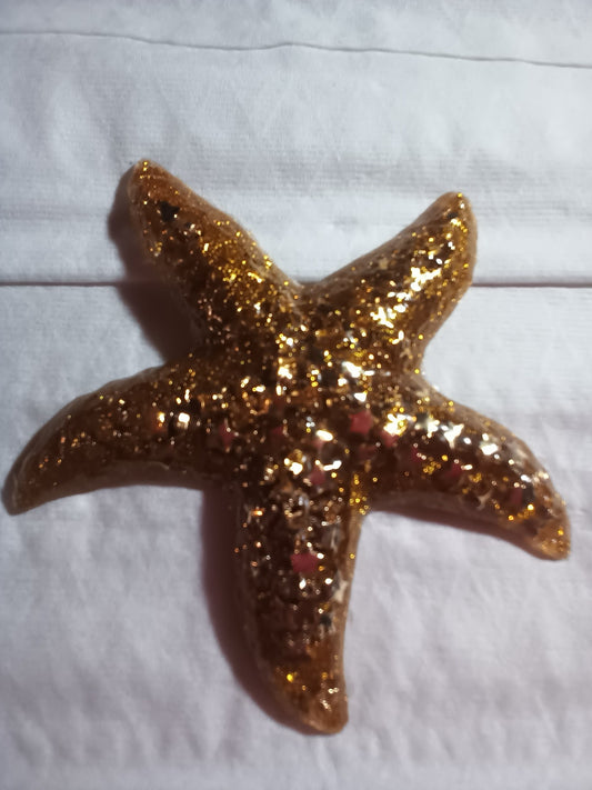 starfish