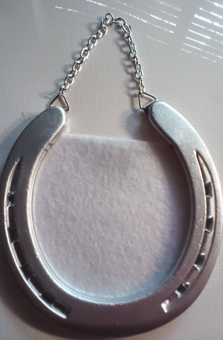 Horse Shoe picture frame