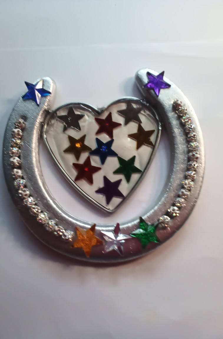Decorated real horse shoes
